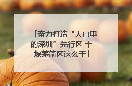 奋力打造“大山里的深圳”先行区 十堰茅箭区这么干