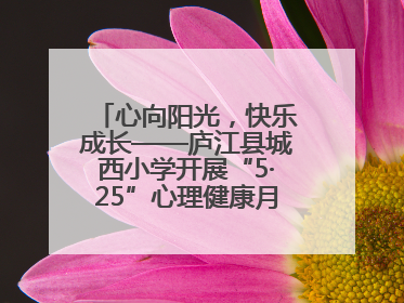 心向阳光，快乐成长——庐江县城西小学开展“5·25”心理健康月系列活动