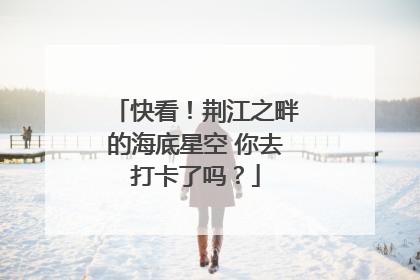 快看！荆江之畔的海底星空 你去打卡了吗？