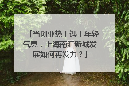 当创业热土遇上年轻气息，上海南汇新城发展如何再发力？