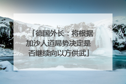 德国外长：将根据加沙人道局势决定是否继续向以方供武