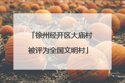 徐州经开区大庙村被评为全国文明村
