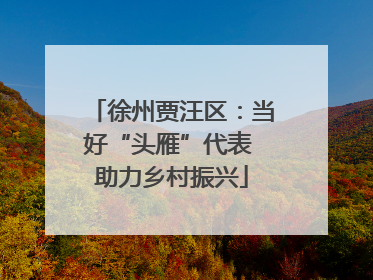 徐州贾汪区：当好“头雁”代表 助力乡村振兴