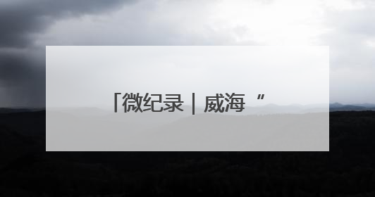 微纪录｜威海“新麦客”：割一亩80元，不在收割就是在收割路上