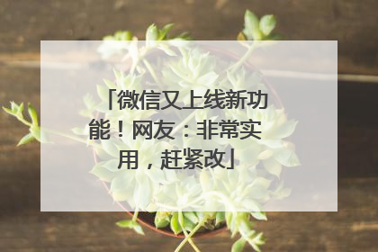 微信又上线新功能！网友：非常实用，赶紧改