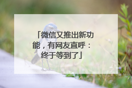 微信又推出新功能，有网友直呼：终于等到了