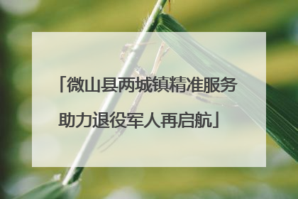 微山县两城镇精准服务助力退役军人再启航