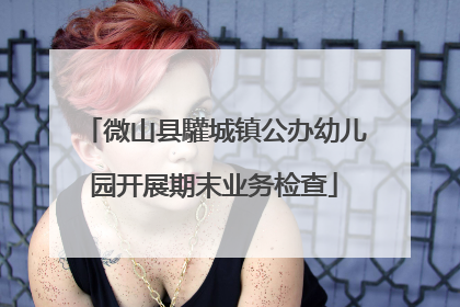 微山县驩城镇公办幼儿园开展期末业务检查