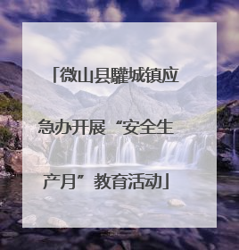 微山县驩城镇应急办开展“安全生产月”教育活动