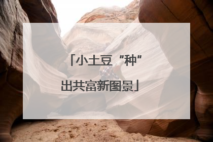 小土豆“种”出共富新图景