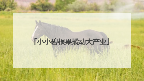 小小碧根果撬动大产业