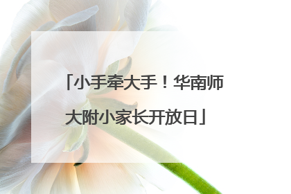 小手牵大手！华南师大附小家长开放日