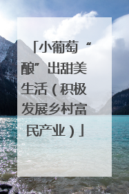 小葡萄“酿”出甜美生活（积极发展乡村富民产业）
