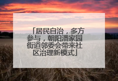 居民自治，多方参与，朝阳潘家园街道邻委会带来社区治理新模式