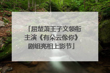 屈楚萧王子文领衔主演《有朵云像你》剧组亮相上影节