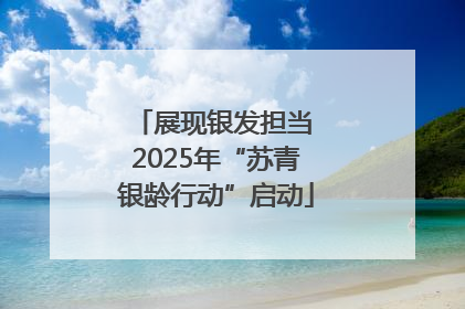 展现银发担当 2025年“苏青银龄行动”启动