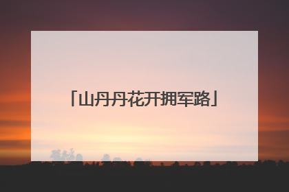 山丹丹花开拥军路