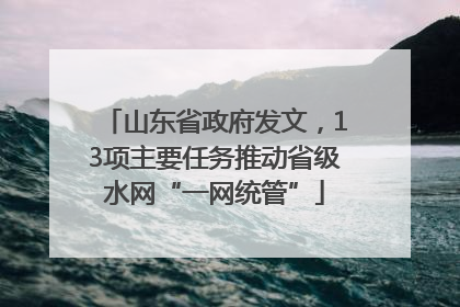 山东省政府发文，13项主要任务推动省级水网“一网统管”