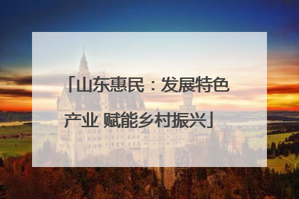 山东惠民：发展特色产业 赋能乡村振兴
