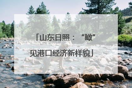 山东日照：“瞰”见港口经济新样貌
