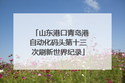 山东港口青岛港自动化码头第十三次刷新世界纪录
