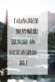山东菏泽：聚势赋能谋发展 协同支农谱新篇