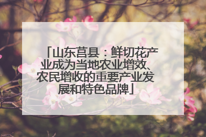 山东莒县：鲜切花产业成为当地农业增效、农民增收的重要产业发展和特色品牌