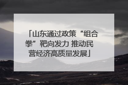 山东通过政策“组合拳”靶向发力 推动民营经济高质量发展