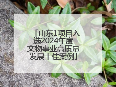 山东1项目入选2024年度文物事业高质量发展十佳案例