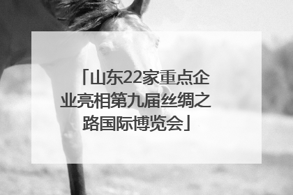 山东22家重点企业亮相第九届丝绸之路国际博览会