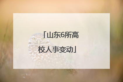 山东6所高校人事变动