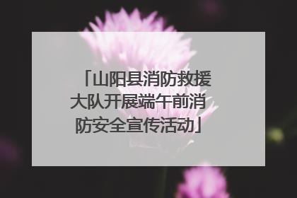 山阳县消防救援大队开展端午前消防安全宣传活动