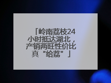 岭南荔枝24小时抵达湖北，产销两旺性价比真“给荔”