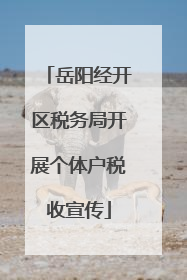 岳阳经开区税务局开展个体户税收宣传