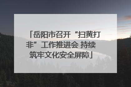 岳阳市召开“扫黄打非”工作推进会 持续筑牢文化安全屏障