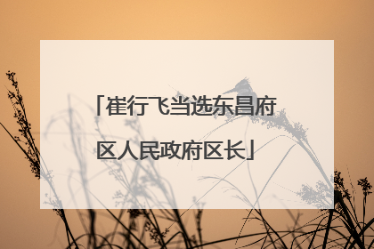 崔行飞当选东昌府区人民政府区长