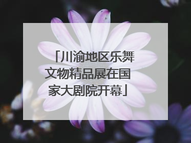 川渝地区乐舞文物精品展在国家大剧院开幕