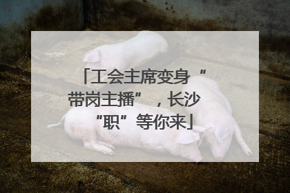 工会主席变身“带岗主播”，长沙“职”等你来