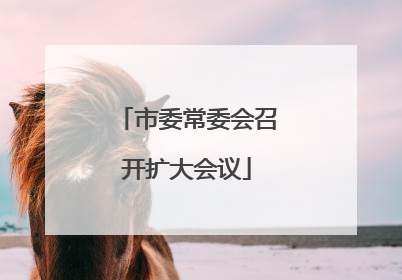 市委常委会召开扩大会议