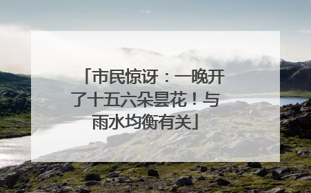 市民惊讶：一晚开了十五六朵昙花！与雨水均衡有关