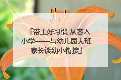 带上好习惯 从容入小学——与幼儿园大班家长谈幼小衔接