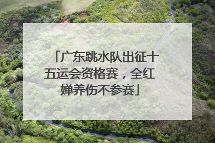 广东跳水队出征十五运会资格赛，全红婵养伤不参赛