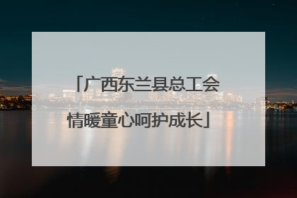 广西东兰县总工会情暖童心呵护成长