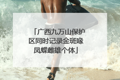 广西九万山保护区同时记录金斑喙凤蝶雌雄个体