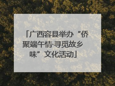 广西容县举办“侨聚端午情·寻觅故乡味”文化活动