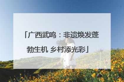 广西武鸣：非遗焕发蓬勃生机 乡村添光彩