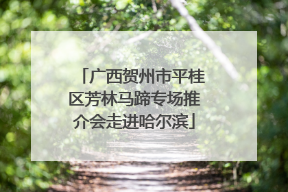 广西贺州市平桂区芳林马蹄专场推介会走进哈尔滨