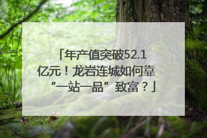 年产值突破52.1亿元！龙岩连城如何靠“一站一品”致富？