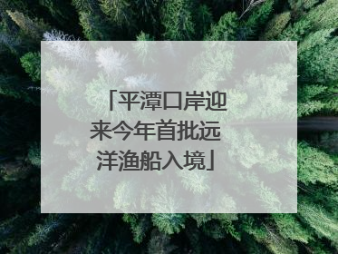 平潭口岸迎来今年首批远洋渔船入境