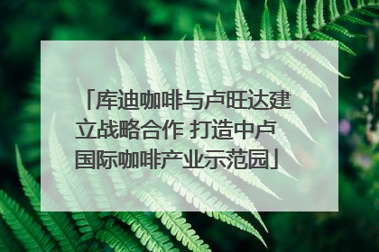 库迪咖啡与卢旺达建立战略合作 打造中卢国际咖啡产业示范园